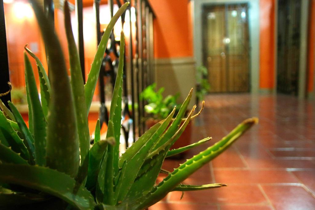 Parador San Fernando Oaxaca Exterior foto